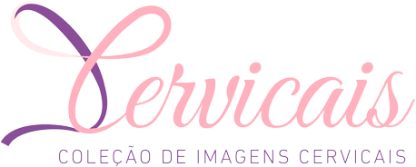 Logo-icervicais-png